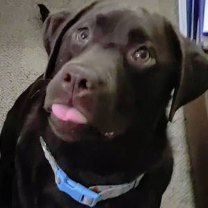 Meet your Posher, Lori